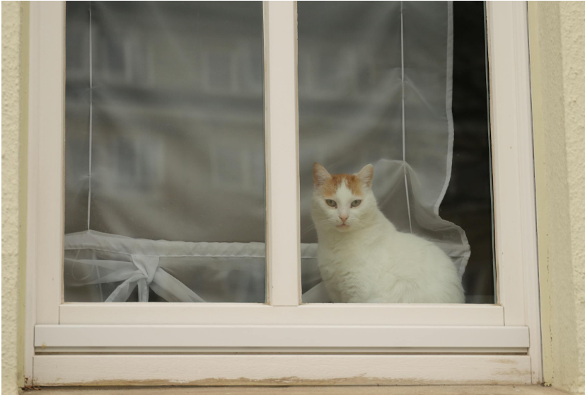 Window Frames Window Frames